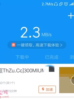 「稀有番号」300MIUM系列 「种子」【1v2.4G】